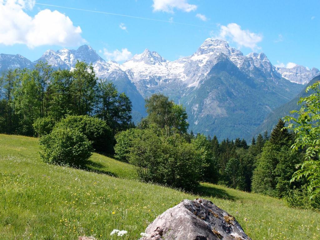 Pension Sonneck Lofer Esterno foto